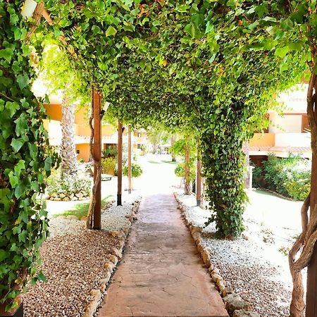 La Entrada Beach Club Torrevieja Exterior foto